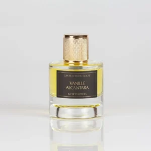 vannile alcantara
