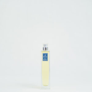 spicy gingerbread 100ml