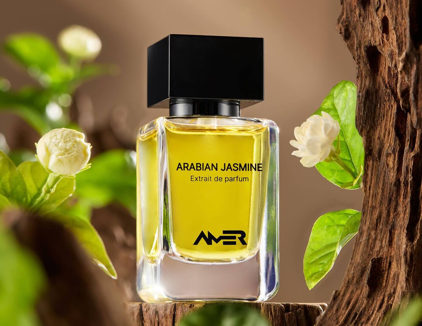 Amer Alradhi